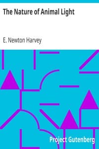 The Nature of Animal Light