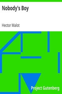 Nobody's Boy: Sans Famille